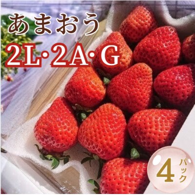 【2027年3月上旬より順次発送】春のあまおう (2L・2A・G規格 4パック) (宇美町)
