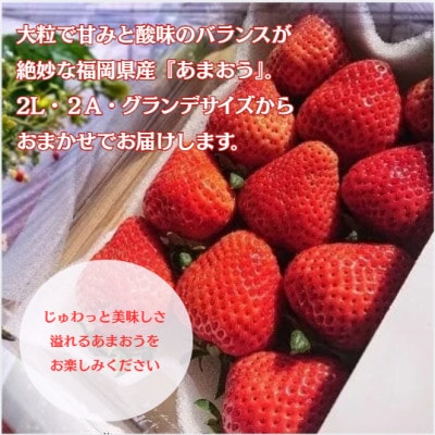 【2027年3月上旬より順次発送】春のあまおう (2L・2A・G規格 4パック) (宇美町)