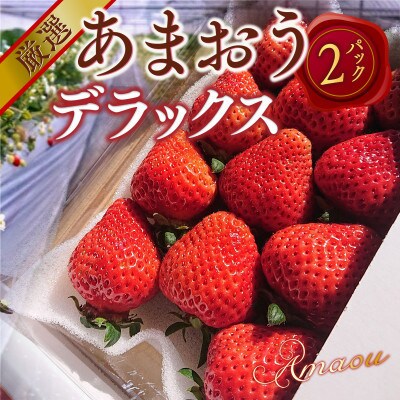 【2027年2月より順次発送】あまおうデラックス(約250-270g×2パック) (宇美町)