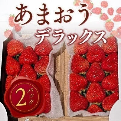 【2027年2月より順次発送】あまおうデラックス(約250-270g×2パック) (宇美町)