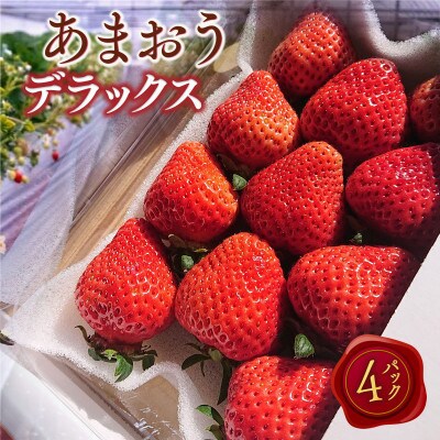 【2027年2月より順次発送】あまおうデラックス(約250-270g×4パック) (宇美町)