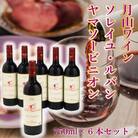食の都庄内　月山ワイン　ソレイユ・ルバン　ヤマソービニオン　赤(辛口)6本セット
