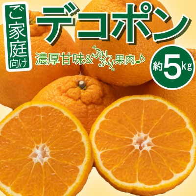 【2026年3月上旬より順次発送】濃厚ぷりっぷり♪ご家庭向け「デコポン」約5kg