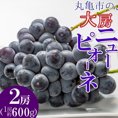 ※香川県丸亀市の大房ニューピオーネ　2房(1房約600g)
