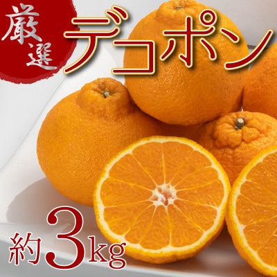 【2026年3月上旬より順次発送】濃厚ぷりっぷり♪厳選「デコポン」約3kg