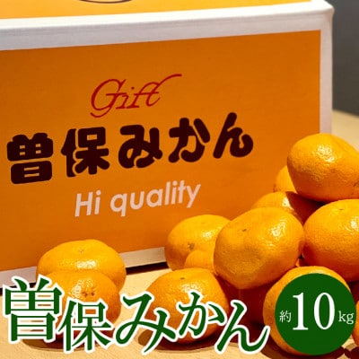 【2026年11月上旬より順次発送】希少!三豊市の最高峰「曽保みかん」約10kg