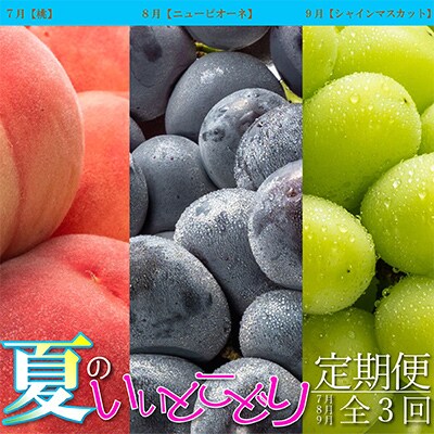 【発送月固定定期便】丸亀市、夏のいいとこどり定期便(7・8・9月)全3回