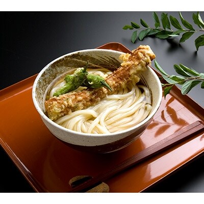 本場さぬきうどん 讃州育ち(18人前) MS-03