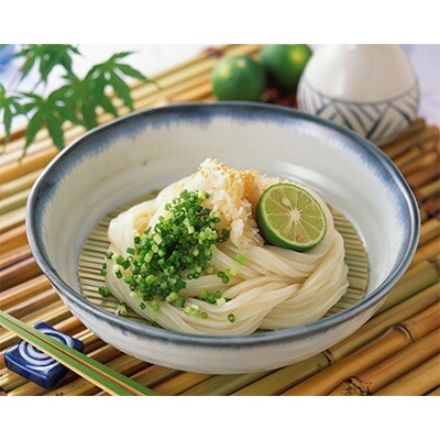 本場さぬきうどん 細切りうどん(18人前) HS-03