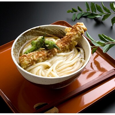 本場さぬきうどん 食べくらべセット(18人前) YS-02