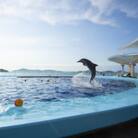 四国水族館　<大人>ペア入館券