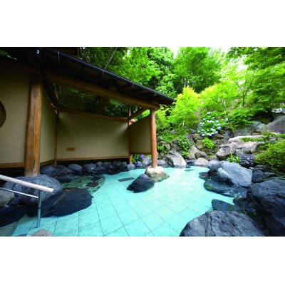 部屋タイプおまかせ宿泊ペア御利用券 1枚