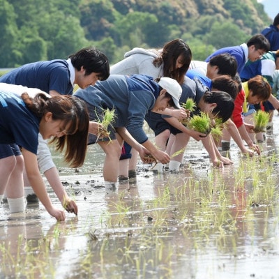 味くらべセット【龍谷大学農学部】