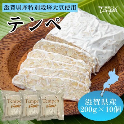 ルストテンペ(滋賀県産特別栽培大豆使用)10個セット