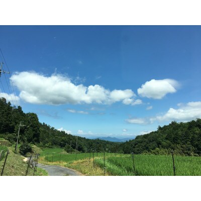 栽培期間中農薬・化学肥料不使用 白米粒が光る棚田米 滋賀県大津市産コシヒカリ白米10kg