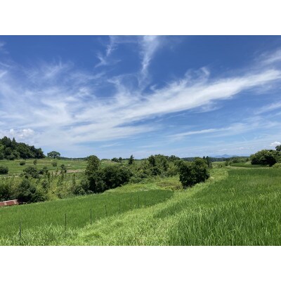 栽培期間中農薬・化学肥料不使用 白米粒が光る棚田米 滋賀県大津市産コシヒカリ玄米10kg