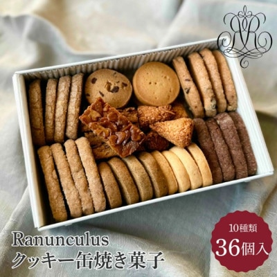 Ranunculus クッキー缶　焼き菓子 36個入り