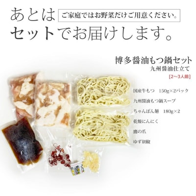 もつ鍋 セット 和風醤油仕立て 2～3人前[No5354-0262]