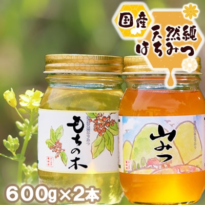 天然国産純はちみつ もちのき600g &amp; 山みつ600g