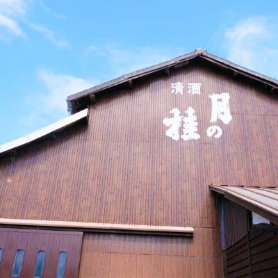森山酒造 新酒 しぼりたて生セット 