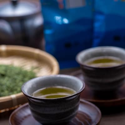 定期便3ヶ月 献茶園オリジナル深蒸し茶特芽ゴールド 100g×2袋 八女茶[No5354-0869]