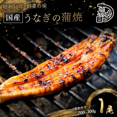 昭和52年創業の味 手焼き 国産 うなぎ 蒲焼き 1尾 200～300g [No5354-0055]