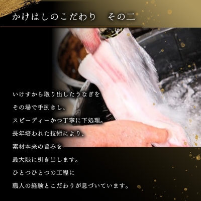 昭和52年創業の味 手焼き 国産 うなぎ 蒲焼き 1尾 200～300g [No5354-0055]