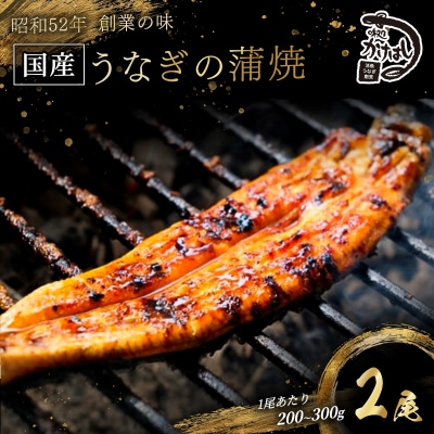 昭和52年創業の味 手焼き 国産うなぎ蒲焼き2尾(200～300g/尾) [No5354-0056]