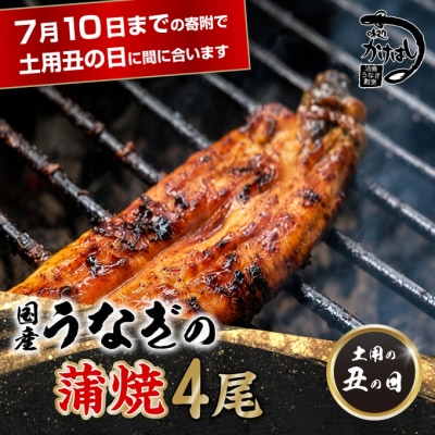 昭和52年創業の味 手焼き 国産うなぎ蒲焼き4尾(200～300g/尾) [No5354-0058]