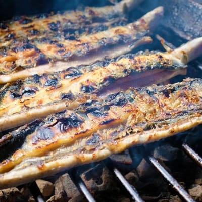 昭和52年創業の味 手焼き 国産うなぎ蒲焼き4尾(200～300g/尾) [No5354-0058]