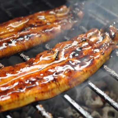 職人による手焼き うなぎの蒲焼き 定期便(3ヵ月)