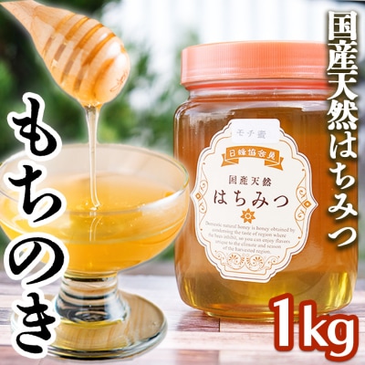 国産100%天然はちみつ(もちのき)1kg | ふるさと納税のお礼品