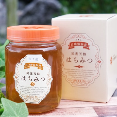 はちみつ 国産 100% 天然はちみつ もちのき 1kg[No5354-0211]