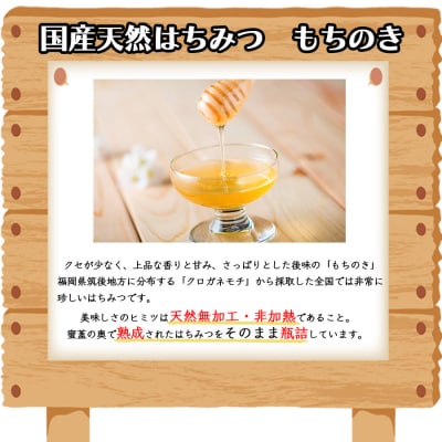 はちみつ 国産 100% 天然はちみつ もちのき 2kg (1kg×2)[No5354-0212]