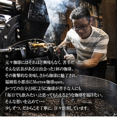 コーヒー 自家焙煎 Morrow珈琲 ドリップバッグセット 7種 計20個[No5354-0228]