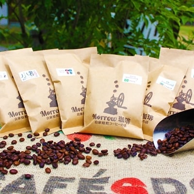 【6種飲み比べ・豆のまま】小郡ブレンドと世界のコーヒー豆 100g×6袋[No5354-7012]