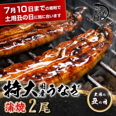 心に染みる かけはし 特大 国産うなぎ 蒲焼き2尾(300～400g/尾)[No5354-0070]