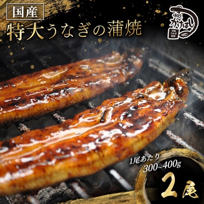 心に染みる かけはし 特大 国産うなぎ 蒲焼き2尾(300～400g/尾)[No5354-0070]