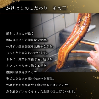 心に染みる かけはし 特大 国産うなぎ 蒲焼き2尾(300～400g/尾)[No5354-0070]