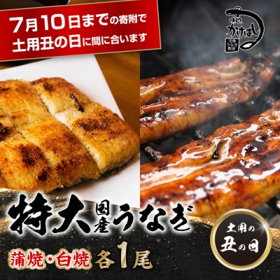 心に染みる かけはし 特大 国産うなぎ 蒲焼き 白焼き(各1尾)[No5354-0067]