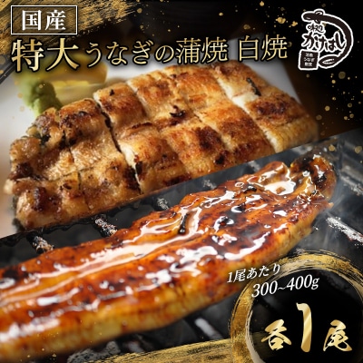 心に染みる かけはし 特大 国産うなぎ 蒲焼き 白焼き(各1尾)[No5354-0067]