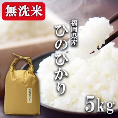 R7年産 無洗米 5kg 福岡県産 ひのひかり 米[No5354-0268]