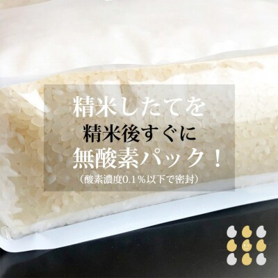 特A 福岡県産米 無洗米 ひのひかり(無酸素フレッシュパック 1.8kg×2)