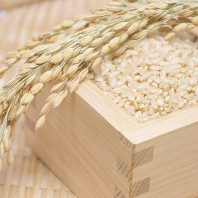 肥沃な筑紫平野にて育った 福岡県産米 にこまる 玄米 5kg