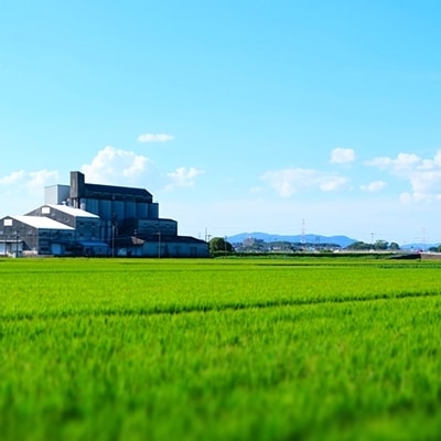 肥沃な筑紫平野にて育った 福岡県産米 にこまる 玄米 5kg