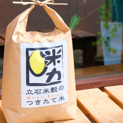 米 6kg お米マイスターがお届け 配送当日精米 小郡産 栽培期間中無農薬[No5354-0285]