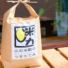米 3kg お米マイスターがお届け 配送当日精米 小郡産 栽培期間中無農薬[No5354-0284]