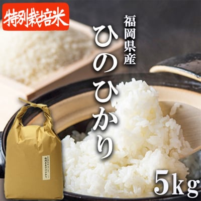 米 5kg 発送当日に精米します 小郡産 特A 特別栽培米 ひのひかり[No5354-0266]