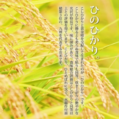 米 5kg 発送当日に精米します 小郡産 特A 特別栽培米 ひのひかり[No5354-0266]