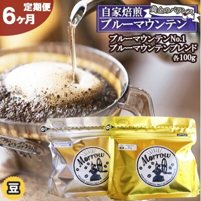 【定期便】黄金のバランス ブルーマウンテン 6ヵ月(豆)